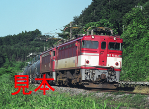 鉄道写真、645ネガデータ、144179730002、ED75-113＋ED75＋貨物、JR東北本線、豊原〜白坂、2005.07.28、（4329×3170）