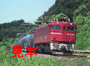 鉄道写真、645ネガデータ、144179730005、ED75-111＋貨物、JR東北本線、豊原〜白坂、2005.07.28、（4366×3197）