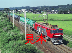 鉄道写真、645ネガデータ、144279740005、EH500-31＋貨物、JR東北本線、本宮〜五百川、2005.07.28、（4233×3100）