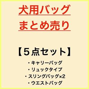 【PayPay専用】《まとめ売り 散歩用 リュック スリング ウエスト キャリー ５点セット》