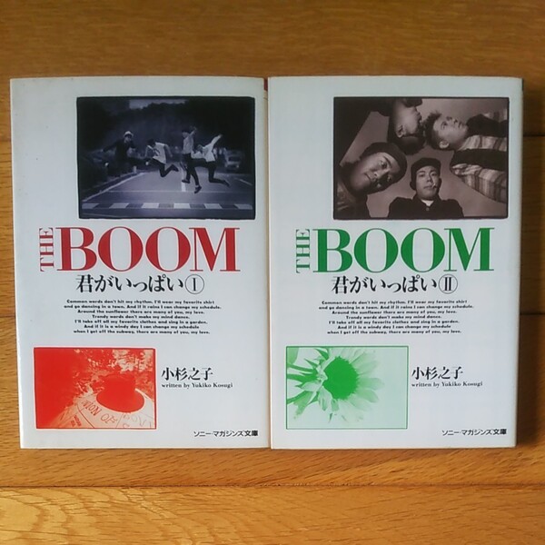 THE BOOM 君がいっぱいⅠ、Ⅱ 書籍 宮沢和史 小杉之子 