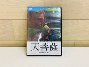 【良品・DVD】天菩薩 香港映画｜ジョン・X・ハート/チャン・ルートン/フー・シャオパオ/ガオ・チュン/ヤン・ピーチ