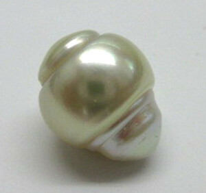 ∮真珠専門館∮ 大粒 白蝶真珠ルース 13.7×16.9mm ナチュラルカラー 面白い形シリーズ （税込み）