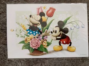 ディズニー ミッキーミニー 非売品 ディズニーリゾート 絵葉書 ポストカード レア 特別