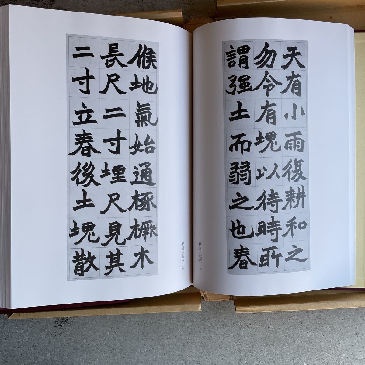 ポスターフレーム 中国書法 趙之謙 二金蝶堂遺墨 1冊 復刻版 西川寧