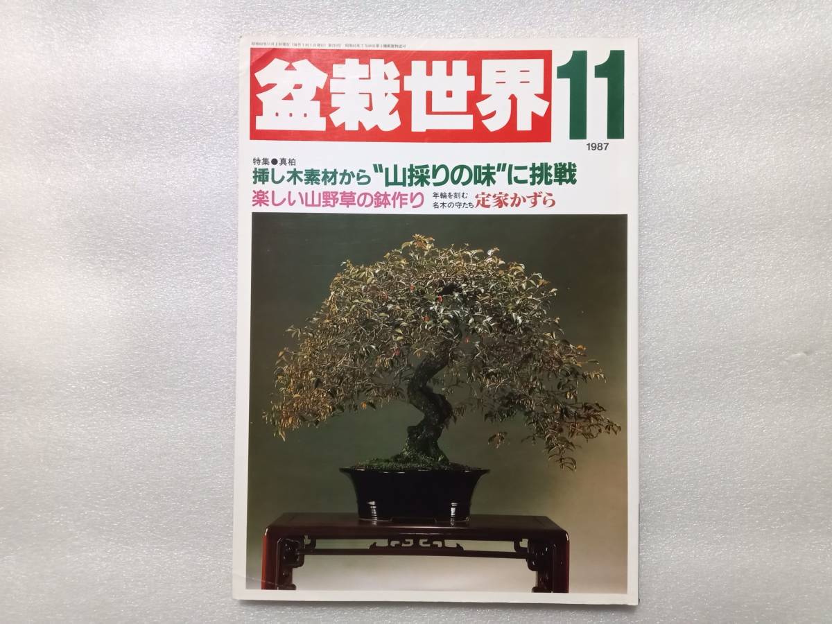 Yahoo!オークション - 瑞穂 盆栽作品集 森山和雄 Yahoo!オークション - 瑞穂 盆栽作品集 森山和雄
