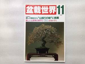 盆栽世界　1987　11　特集・真柏　挿し木素材から「山採りの味に」挑戦　、楽しい山野草の鉢作り　、定家かづら