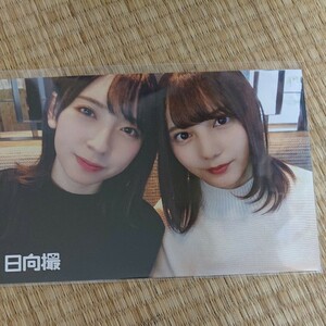 日向坂46 日向撮 オリジナル ポストカード