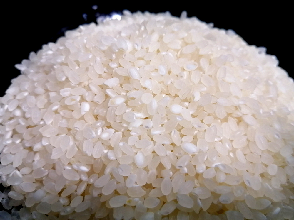 新米 令和3年産玄米新潟コシヒカリ30kg 10kg 3 精米無料 農家直送20 Hakakune Sage - 米/穀物 - wsimarketingedge.com 新米 令和3年産玄米新潟コシヒカリ30kg 10kg 3 精米無料 農家直送20 Hakakune Sage - 米/穀物 - wsimarketingedge.com