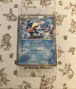 色違い ポケモンxyの値段と価格推移は 10件の売買情報を集計した色違い ポケモンxyの価格や価値の推移データを公開 色違い ポケモンxyの値段と価格推移は 10件の売買情報を集計した色違い ポケモンxyの価格や価値の推移データを公開