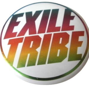 ★EXILE（エグザイル）・三代目JSB・EXILE TRIBE他 EXILEグループ　ミニ缶バッジ★タレントグッズ★L027