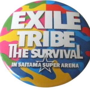 ★EXILE（エグザイル）・三代目JSB・EXILE TRIBE他 EXILEグループ　ミニ缶バッジ★タレントグッズ★L014