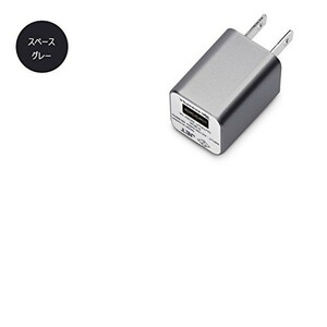 【在庫処分】 iCharger USB電源アダプタ リバーシブルUSBポート 1A スペースグレイ PG-RAC10A05SG