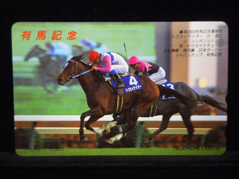 特別オファー 第38回有馬記念 トウカイテイオー ジグソーパズル 1000