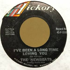 THE NEWBEATS I'VE BEEN A LONG TIME LOVING YOU 45