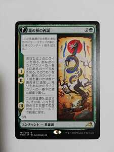 MTG マジックザギャザリング 龍の神の再誕/龍の神の卵 日本語版 1枚