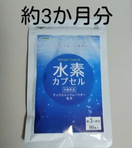 水素カプセル 約3か月分 サプリ めぐり 体内サイクル活発 抗酸化 活性酸素 むくみ 水分 老廃物 排出 ダイエット 健康