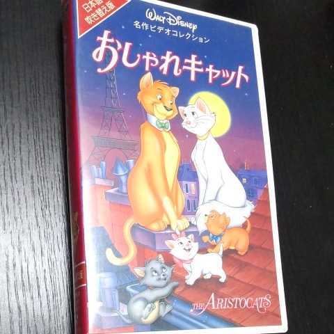 ウォルトディズニー スプラッシュマウンテン 南部の唄 VHS 日本語
