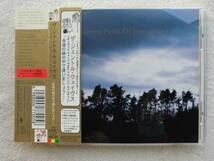 ザ・ジェントル・ウェイヴス●CD●カジヒデキ ●Green Fields of Foreverland/永遠の緑の中で逢いましょう Belle And Sebastian●美品！_画像1