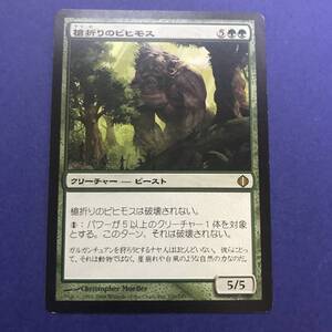 MTG/槍折りのビヒモス/Spearbreaker Behemoth/日本語/1枚