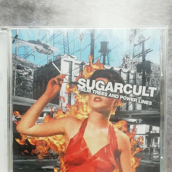 シュガーカルト （出荷終了） 限） パームツリー　SUGARCURT