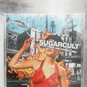 シュガーカルト (出荷終了) 限) パームツリー SUGARCURT