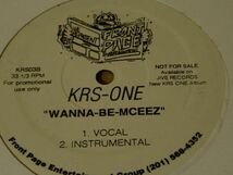 KRS-ONE / RAPPAZ R N DANJA_画像3