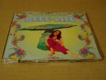 CDS]Deee-Lite - Picnic In The Summertime_画像1