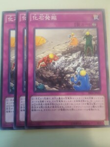 遊戯王 化石発掘 三枚 数量6