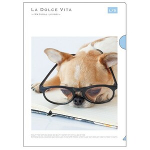 A4サイズ／チワワ犬と眼鏡・BOOKのクリアファイル《2枚セット》