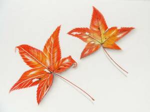 色鉛筆画 ネコポスサイズ 秋 植物 もみじ 紅葉 絵画 イラスト