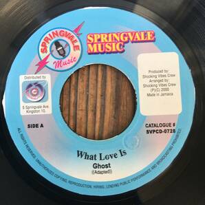 ★送料込み！Foreigner ”I Want To Know What Love Is” Cover Lovers！【Ghost - What Love Is】7inch！Springvale Music SPVCD-0728 JA