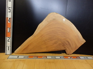b2012705 欅●厚約1.2cm～1.3cm☆無垢板１枚板 木材 板 DIY 板材 天板 棚板 テーブル 看板 花台など種類豊富！