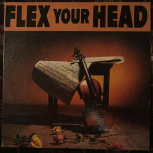 ＊中古CD V.A./FLEX YOUR HEAD 1982年作品 TEEN IDOLES VOID MINOR THREAT GOVERNMENT ISSUE YOUTH BRIGADE IRON CROSS DEADLINE