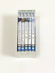 DISCOVERY CHANNEL 動物編 DVD5枚セット 専用ケース付 タカ／ワシ／フクロウ／ライオン／トラ／ヒョウ／ゾウ／イルカ／サメ