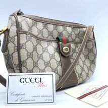 1円《至高の逸品》GUCCI グッチ ショルダーバッグ ポーチ シェリーライン インターロッキング PVC GG柄 GGスプリーム ブラウン レディース_画像1