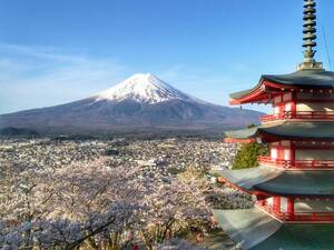  World Heritage гора Фудзи . Sakura .. -слойный. . фотография A4 кроме того, 2L версия сумма имеется 