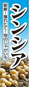 のぼり　じゃが芋　じゃがいも　シンシア　のぼり旗