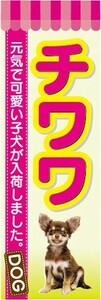 のぼり　のぼり旗　チワワ 元気で可愛い子犬が入荷 ドッグ