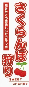 のぼり　味覚狩り　フルーツ　果物　さくらんぼ狩り　のぼり旗