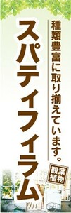 のぼり　ガーデン　観葉植物　スパティフィラム　種類豊富に取り揃えています。　のぼり旗