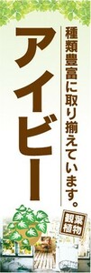 のぼり　ガーデン　観葉植物　アイビー　種類豊富に取り揃えています　のぼり旗