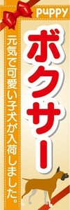 のぼり　のぼり旗　ボクサー 可愛い子犬が入荷