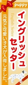 のぼり　のぼり旗　イングリッシュセッター 可愛い子犬が入荷