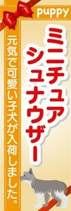 のぼり　のぼり旗　ミニチュアシュナウザー 可愛い子犬が入荷