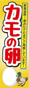 のぼり　カモの卵　鮮度抜群！新鮮な産みたてたまご　たまご　卵　のぼり旗