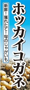 のぼり　じゃが芋　じゃがいも　ホッカイコガネ　のぼり旗