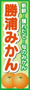 のぼり　みかん　蜜柑　ミカン　勝浦みかん　のぼり旗