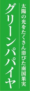 のぼり　トロピカルフルーツ　南国果実　グリーンパパイヤ　のぼり旗