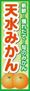 のぼり　みかん　蜜柑　ミカン　天水みかん　のぼり旗